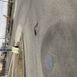 Potholes at 728 Tamarack Way Nw, Edmonton T6 T 0 Y3