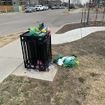 Overflowing Garbage Cans at 2321 119 A St SW