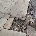 Obstruction - Public Road/Walkway at 10199 101 Street NW