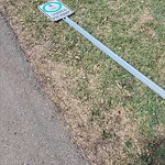 Shared Use Path at 8418 104 Street NW