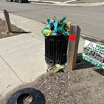 Overflowing Garbage Cans at 6133 176 Avenue NW