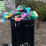Overflowing Garbage Cans at 6204 176 Avenue NW