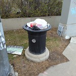 Overflowing Garbage Cans at 10883 Saskatchewan Drive NW