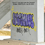 Graffiti Public Property at Whitemud Ravine Nature Reserve, Fox Dr NW