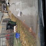 Overflowing Garbage Cans at 16214 84 Ave NW