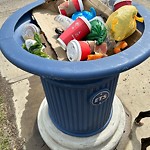 Overflowing Garbage Cans at 1481 Hays Way NW