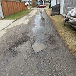 Potholes at 16104 84 Avenue NW