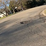 Potholes at 60 Westbrook Drive NW