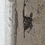 Potholes at 5921 175 A Ave Nw, Edmonton T5 Y 0 T8