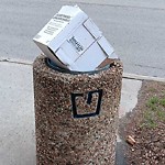 Overflowing Garbage Cans at 109 Street & 29 A Avenue, Edmonton, Ab T6 J 6 Y1, Canada