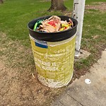 Overflowing Garbage Cans at 4209 111 Avenue NW