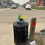 Overflowing Garbage Cans at 6211 176 Avenue NW