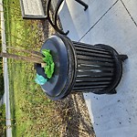 Overflowing Garbage Cans at 9204–9216 120 Ave Nw, Edmonton T5 G 1 A9