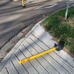 Shared Use Path at 11846 95 Street NW