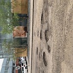 Potholes at 2395 111 St Nw, Edmonton T6 J 5 E5