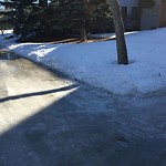 (Winter Sidewalk Maintenance) at 260 Omand Drive NW