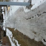 (Winter Sidewalk Maintenance) at 8310 133 Avenue NW