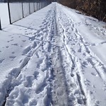 (Winter Sidewalk Maintenance) at 9007 66 Avenue NW