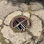 Manhole Covers/Catch Basin Concerns at 8371 120 Street NW