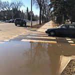 Road Flooded/Drain Blocked at 10204 132 Street NW