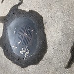 Manhole Covers/Catch Basin Concerns at 15216 100 Ave NW West Jasper Place