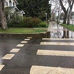 Manhole Covers/Catch Basin Concerns at 10204 132 Street NW