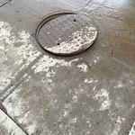 Manhole Covers/Catch Basin Concerns at 11042 76 Street NW