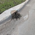 Manhole Covers/Catch Basin Concerns at Ca Southeast Edmonton Edmonton