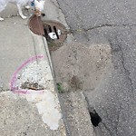 Manhole Covers/Catch Basin Concerns at 17904 57 Avenue NW