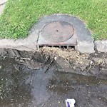 Manhole Covers/Catch Basin Concerns at 8708 120 Avenue NW