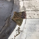 Manhole Covers/Catch Basin Concerns at 7220 106 Street NW