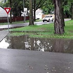 Road Flooded/Drain Blocked at 8703 81 Avenue NW