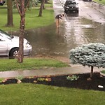 Road Flooded/Drain Blocked at 10802 138 Street NW