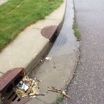 Manhole Covers/Catch Basin Concerns at 216 57 Street SW