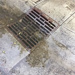 Manhole Covers/Catch Basin Concerns at 10902 118 Street NW