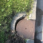 Manhole Covers/Catch Basin Concerns at 12002 87 Street NW