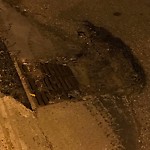 Manhole Covers/Catch Basin Concerns at 17704 104 Street NW