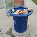 Overflowing Garbage Cans at 4495 Annett Common SW