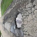 Potholes at 9239 75 Street NW Ottewell