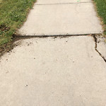 (Winter City Maintained Sidewalk) at 8956 165 St NW West Edmonton