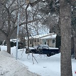 Tree/Branch Damage - Public Property at 4810 116 Avenue NW
