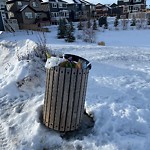 Overflowing Garbage Cans at 541 Orchards Boulevard SW