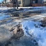 (Winter Roads) at 10652 67 Avenue NW