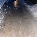 (Winter City Maintained Sidewalk) at 214 Humberstone Road NW