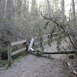 Trails at Rio Park, 15931 Patricia Dr NW