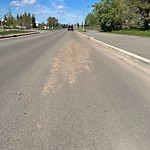 Street Sweeping at 5320 143 Street NW