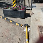 Sidewalk Concern at 10414 82 Avenue NW