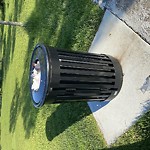 Overflowing Garbage Cans at 503 Hodgson Rd NW Hodgson