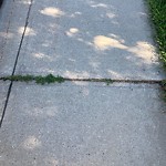 Sidewalk Concern at 1347 Falconer Road NW