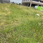 Park Grass Maintenance at 10403 172 Street NW